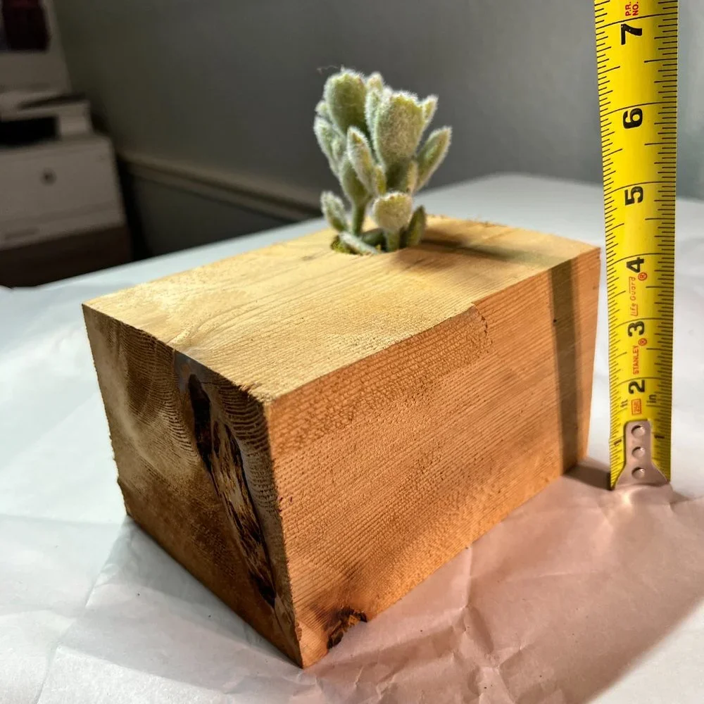 Faux Succulent in Handmade Wood Planter